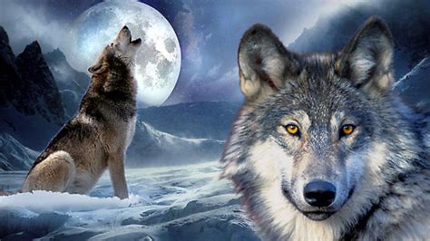 Wolf Moon 2 Betfair